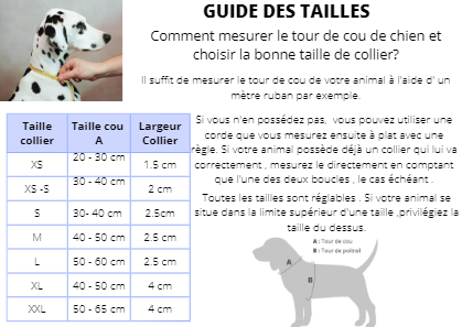 tailles colliers