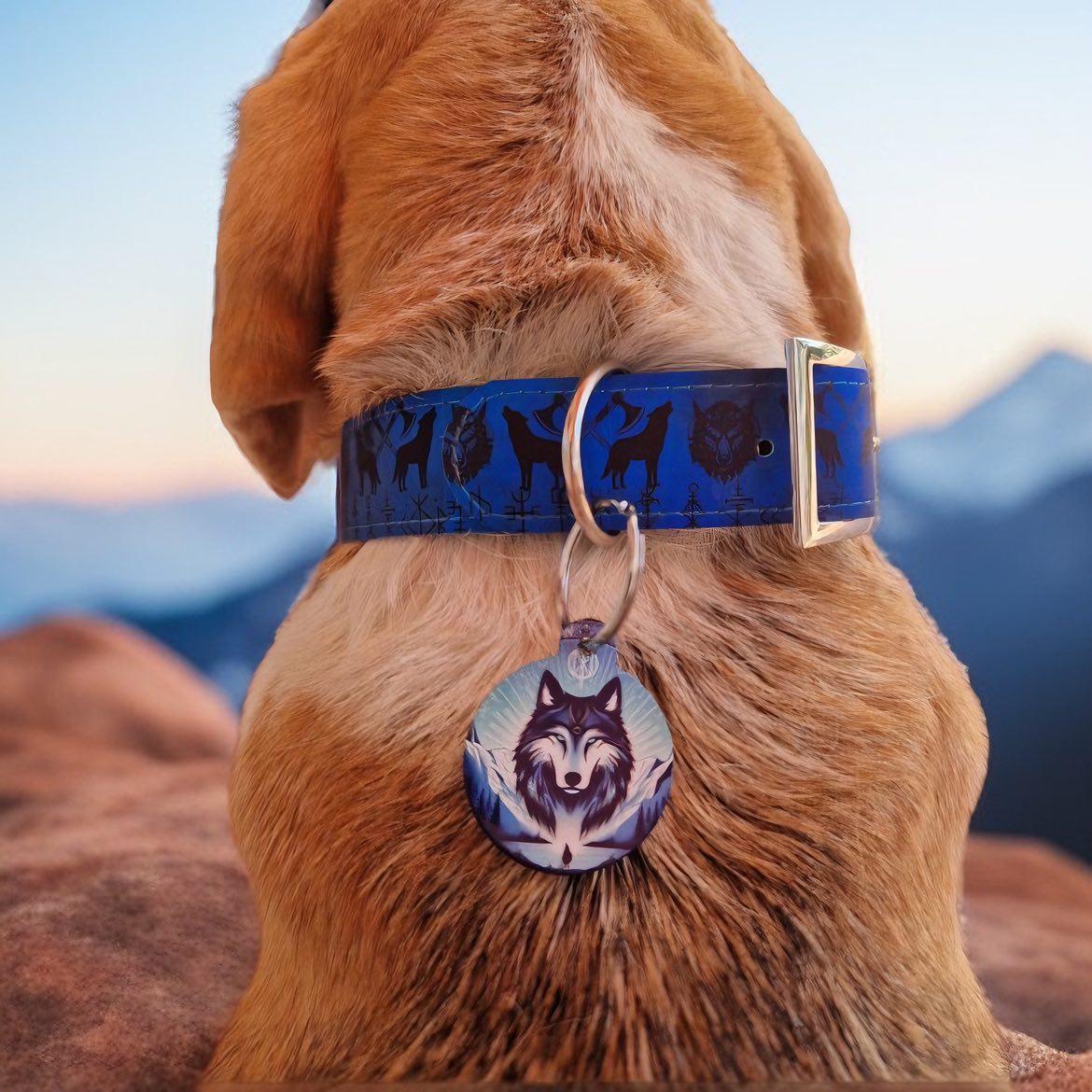 Hexa-sangle collier photo chien