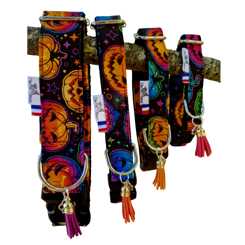 Collier pour Chien "Halloween color"
