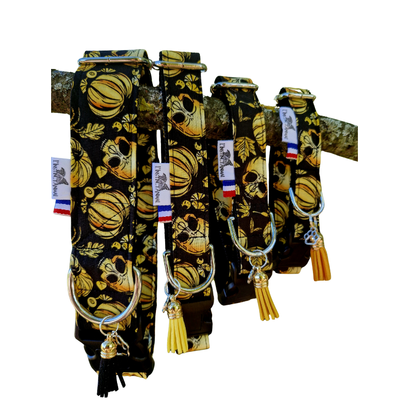 Collier pour Chien "Halloween"