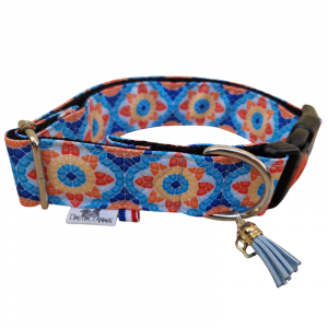 Collier pour Chien Exclusivité L'Instinct Animal "Chicano"